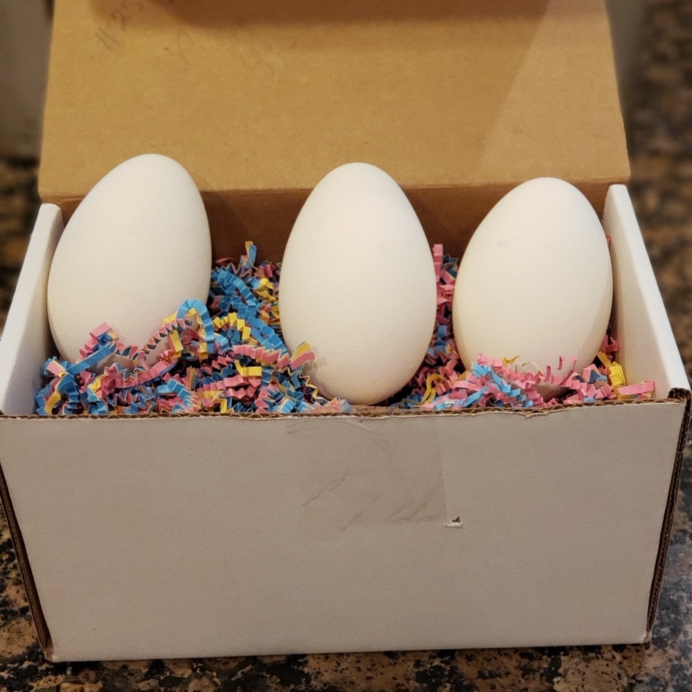 Decorative goose eggs